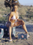 Carmen Electra's photo